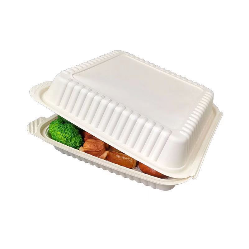 экологический компост раковины моллюсков для продажи пищевой посуды одноразовый биодеградирующий сахарный шлак детский обеденный ящик